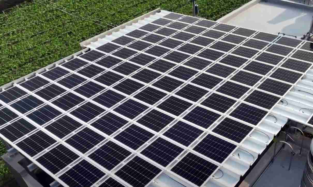 OBPaySunSteel光电浪板升级双玻结构，，，，以提升机械负载强度及气候耐候度，，，，可广泛运用于多元场域